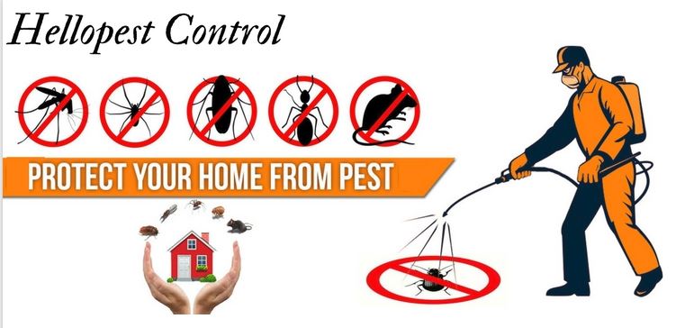 Professionals Pest control